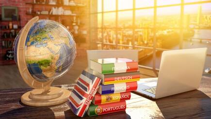 Opinii despre Școli de limbi străine în România